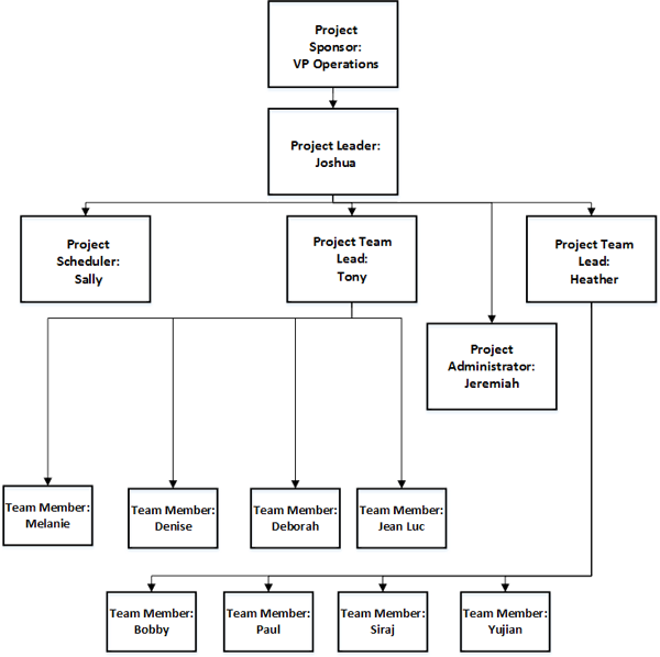 Team Structure